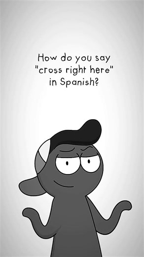 POV: How Do You Say "The tiny, female kitty captain" in Spanish? #languageday #funny #memes #foryou