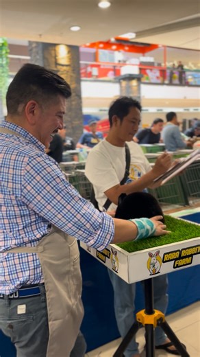 Mini rex #fyp #Amazing #rabbit | Rizki Santosa