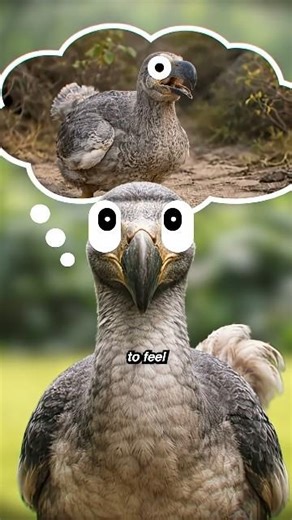 The Problem with Living Too Long in Peace 😥