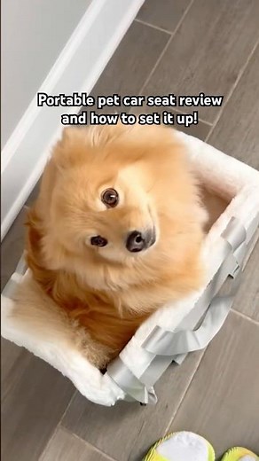 First time using small portable pet car seat review 💛🐕