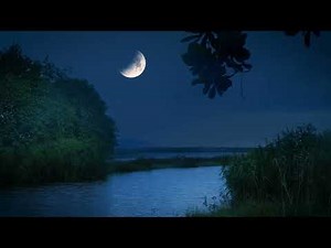 Nocturnal Ambient Sounds - Frogs, Crickets for Summer Peaceful Night Ambience For Deep Sleeping