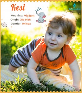 Kesi Name Meaning, Origin & History: Comprehensive Guide 2025 Name Meaning, Origin, History, And Popularity