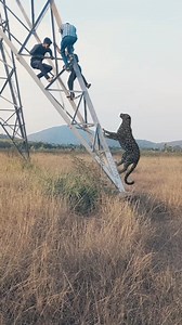 Wow | Physics Theories