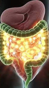 What Alcohol Really Does Inside Your Body Shocking 3D Animation The Truth About Alcohol in Your Body