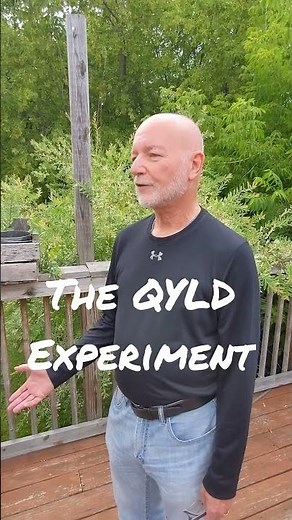 QYLD: Do you own it?