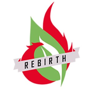 rebirth_tv - Twitch