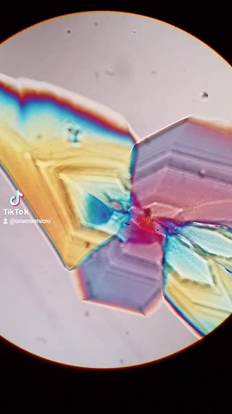 Exploring Soju Alcohol Crystals Under a Microscope