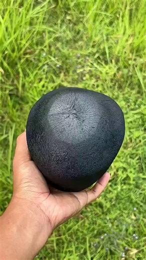 I just have one question, it’s a genuine one and idk who will be able to assist me…but why and in which situation would you need to grill a coconut ?