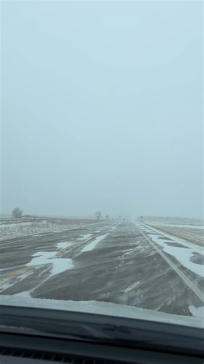 The French Family Band on Reels