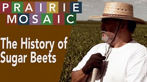 Starting in the 1930s and continuing for decades, farmers in the Red River Valley depended on Hispanic field workers—laborers from Texas and Mexico who arrived to help with hoeing beet fields, tending crops, and bringing in the harvest. Learn about that work and the history of sugar beet farming in the Red River Valley of North Dakota and Minnesota. | Prairie Public