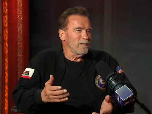 The movie behind Arnold Schwarzenegger's comeback