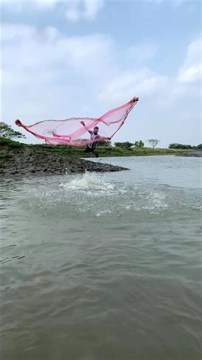 I cast the net after seeing a big fish#fishing #amazonfishing #bigfish # castnetfishing # shortvideo