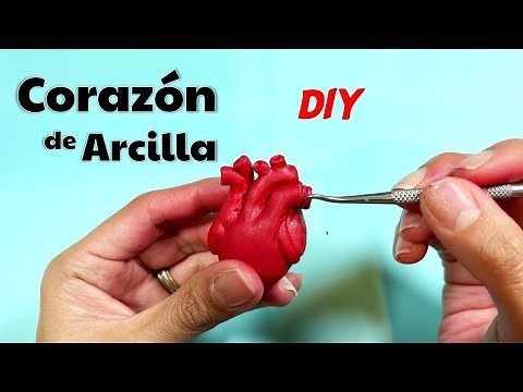 How to make an Anatomical Heart with polymer clay