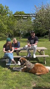 363K views · 3K reactions | Reinforcement Is Key….. … but make sure you are reinforcing the behaviour you want and not bribing the dog. #southenddogtraining #viral | Southend Dog Training | Facebook