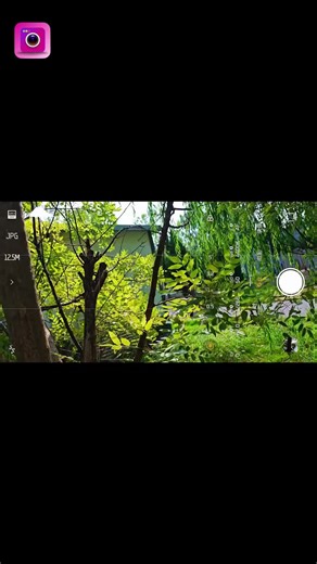 Enhance Your Photos: Zoom-In Tips for Quality Images