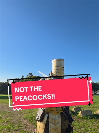 NOT THE PEACOCKS! 🦚 #history #peacocks | peacocks