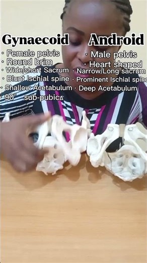 Difference between Gynaecoid and Android pelvis #osce #midwifery #pelvis #nursingosce #shorts