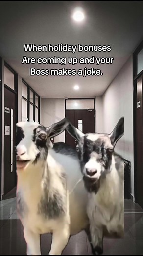 When holiday bonuses Are coming up and your Boss makes a joke. 😂 #viralvideo #MemeCut #CapCut #fyp #comedy #funnyvideos #lifeatwork #lifeatwork #funnytiktok #coworker #workmemes #funnymemes #bossmoves