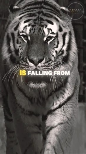 When You Hurt Somebody... The Value in The Relationship.. #motivation #facts #mindset #‪@MrBeast‬