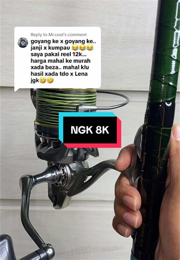 Exploring NGK 8K Surf Casting Fishing Reel