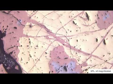 Bornite (Reflected Light)