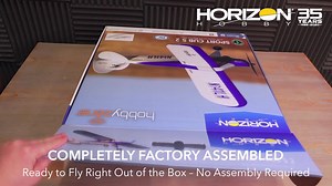 Deliver the best gift this year with our favorite radio control airplanes ready to fly right out of the box! | Horizon Hobby