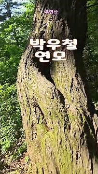 박우철-연모
