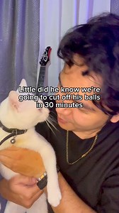 1.2M views · 27K reactions | Little did he know we’re going to cut off his balls in 30 minutes #cat #cats #catsoffacebook | AJ | Facebook
