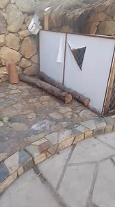 1.4K views | Bonita experiencia #hermososconejos | Alberto Santos Huaira | Facebook