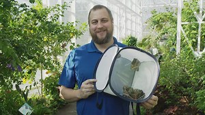 Beat winter blues with Morpho Mania at the Butterfly House