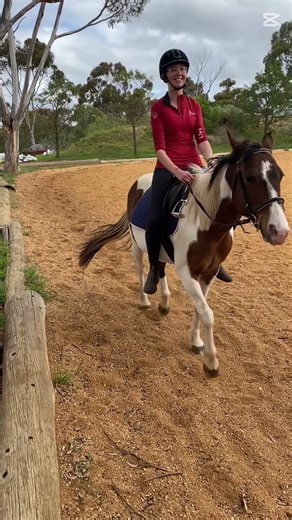 Laughing cuz my trainer is hilarious bruh. Completed my no stirrup November 😭