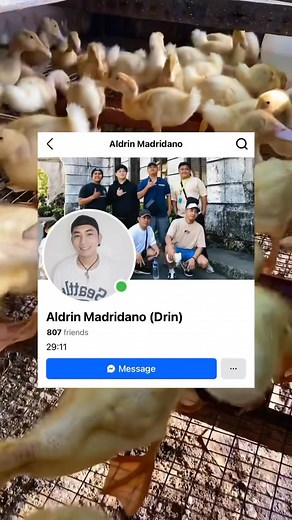 Tips sa pagpapakain ng pekin duck ❤️ #fblifestyle | Agri Engr Trish