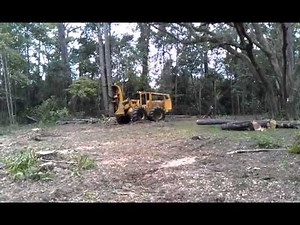 Tree Removal by Alpine Lumber using Feller Buncher