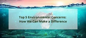 Top 5 Environmental Concerns: How We Can Make A Difference
