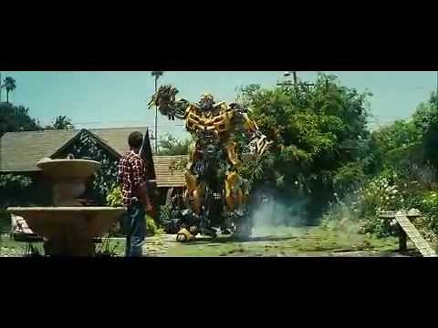 Bumblebee Curses