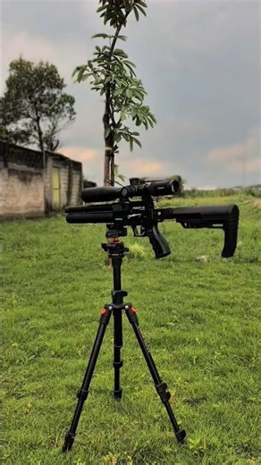 PCP MINI PREDATOR OD 38 READY AGAIN, FIERCE POWER AT AN AFFORDABLE PRICE