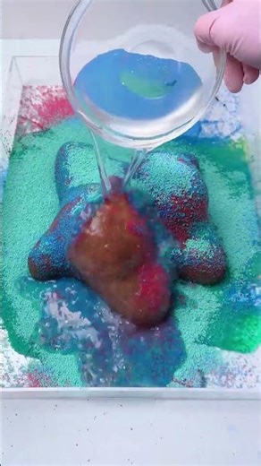 Cleaning my Starfish Plushie ⭐😍