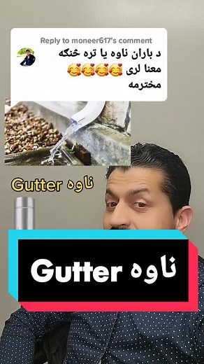 Reply to @moneer617 #ontario #toronto #afghanistan🇦🇫 #usa #austria #newzealandtiktok #afghantiktokofficial #viral #ticktok_viral #تاجک #پښتون #هزاره #english #canada #aue #oelp #foryourpage #ariforya #foryou #