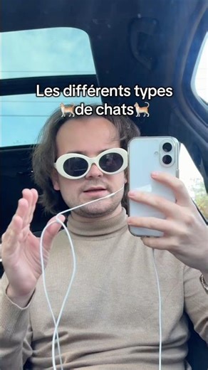 The different types of cats