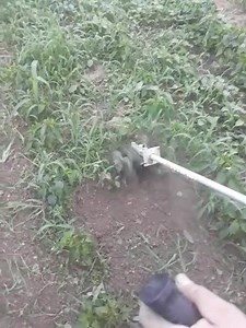 🔴 Freza za trimer koja odgovara za sve naše trimere samo 299,- Kn 👉 Narudžbe na link : https://supergoldy.eu/facebook-narudzbe?proizvod=861#FREZA 🔵 Idealna za rad među redovima nasada 🔴 Radna širina 15 i 30 cm ( skida se jedna strana 🔵 Mjenjač u sklopu koji osigurava pouzdan rad i s trimerima snage 2 KS ⚠️ 2 modela : 26 mm /9 zuba - Fighter, MIDORI , Champion - HYD, 28 mm/ 9 z. Kawasaki - Strauss ⚠️ Interna šifra : FREZA mm⚠️ Dostavlja HP, poštarina 35 Kn | SuperGoldy