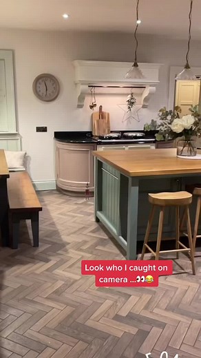 Capturing Magical Moments with Elf Cam App