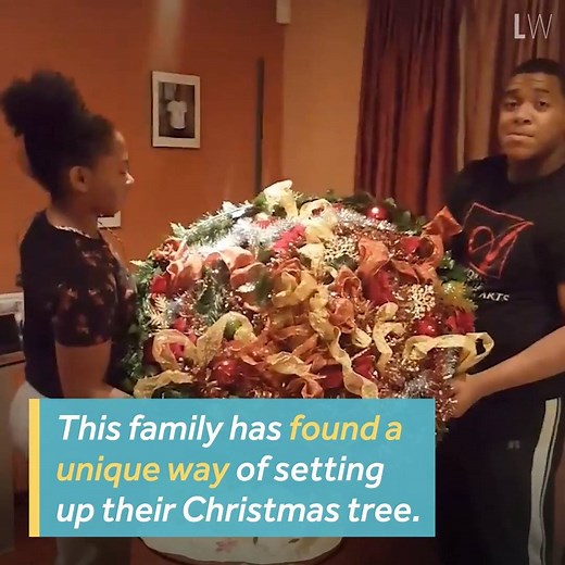 😯Now that's what you call "Instant Christmas." 🎄Now can anyone tell us where we can get one of these? 😬🤣 | LightWorkers