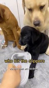 21K views · 335 reactions | ️ Je t'offre l'ebook gratuit "les...