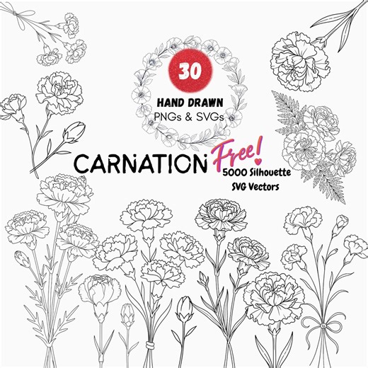 Carnation Birth Month Wildflower Clipart, Botanical Line Art SVG PNG (instant Download) - Etsy