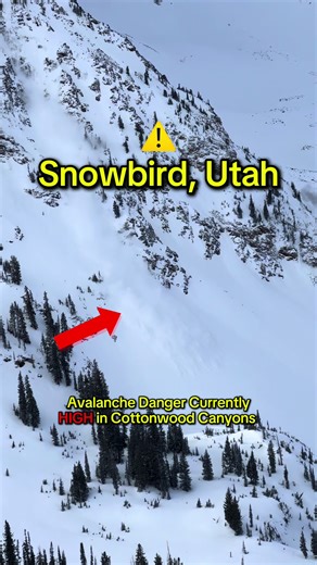 Avalanche Danger HIGH in Utah #skiing #snowboarding #utah #snow #avalanche