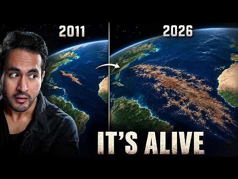 Something Weird is Spreading Across The Atlantic Ocean. And it's Huge