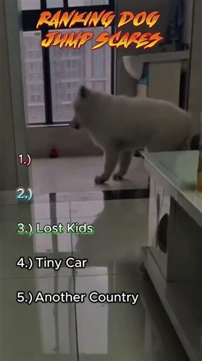 Hilarious Dog Jump Scares Try Not to Scream!🐶 #dog #jumpscare #funnydogs #petpranks #shorts #top5