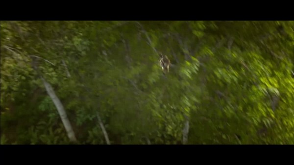 Epic (2013)