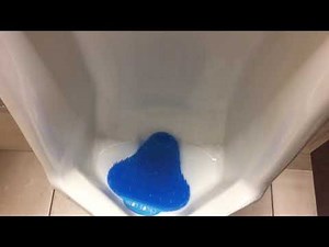 Bathroom Tour Toilet Restroom Family Kohl’s’ Grocery Store American Standard Commodes Men’s