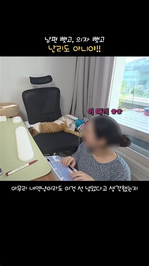 명숙이는 진짜 깡패다, 남편 뺏기 깡패 #고양이